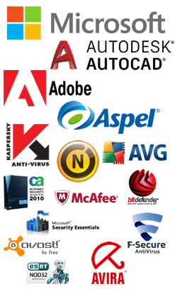 licenciamiento de antivirus entre otros