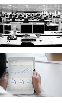 proyectos especiales